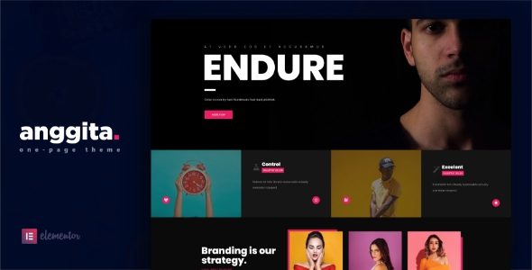 Anggita One Page Portfolio Theme