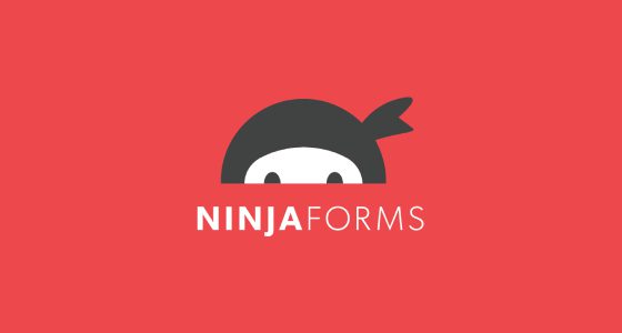 Ninja Forms Layout and Styles