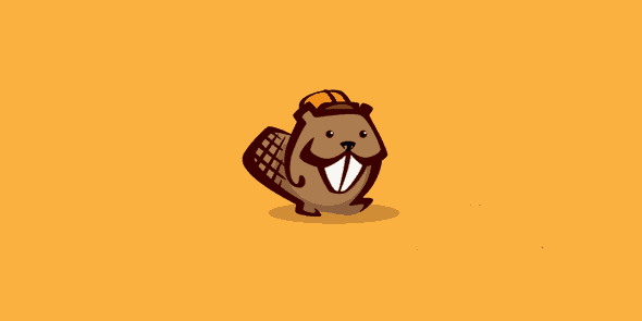 Beaver Builder Agency Version