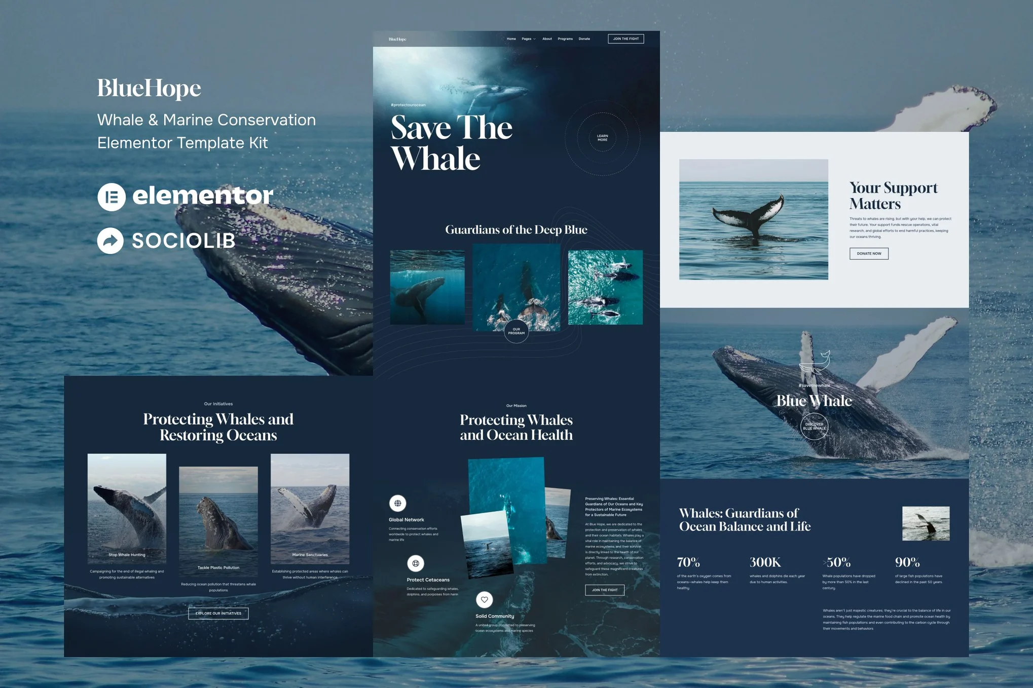 BlueHope – Whale and Marine Conservation Elementor Template Kit