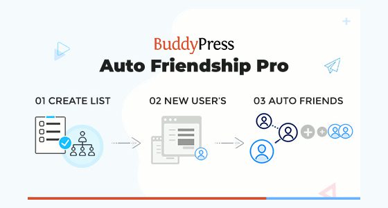 BuddyPress Auto Friendship