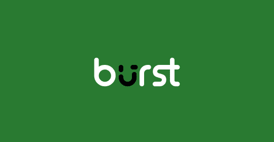 Burst Statistics Pro