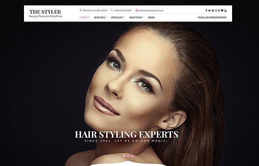 CSS Igniter The Styler