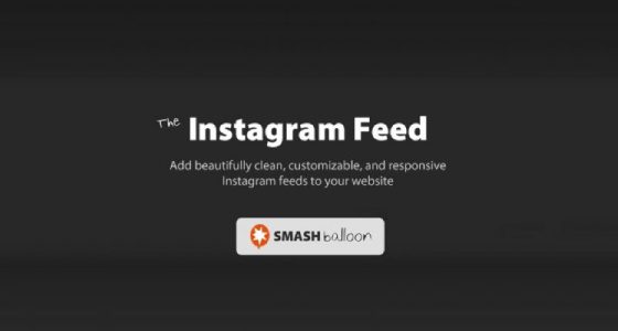 Custom Instagram Feed Pro Developer