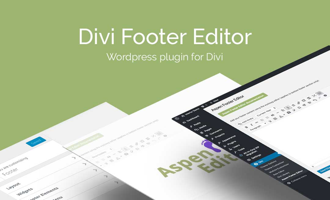 Divi Footer Editor