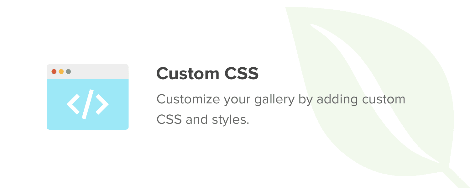Envira Gallery CSS Addon