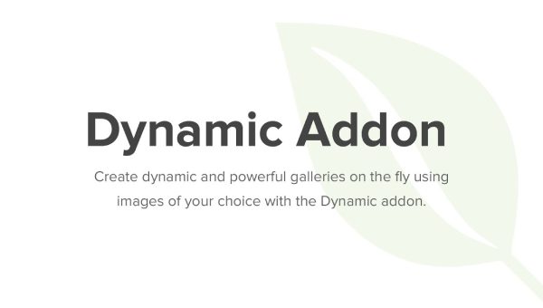 Envira Gallery Dynamic Addon