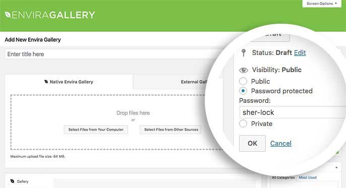 Envira Gallery Password Protection Addon