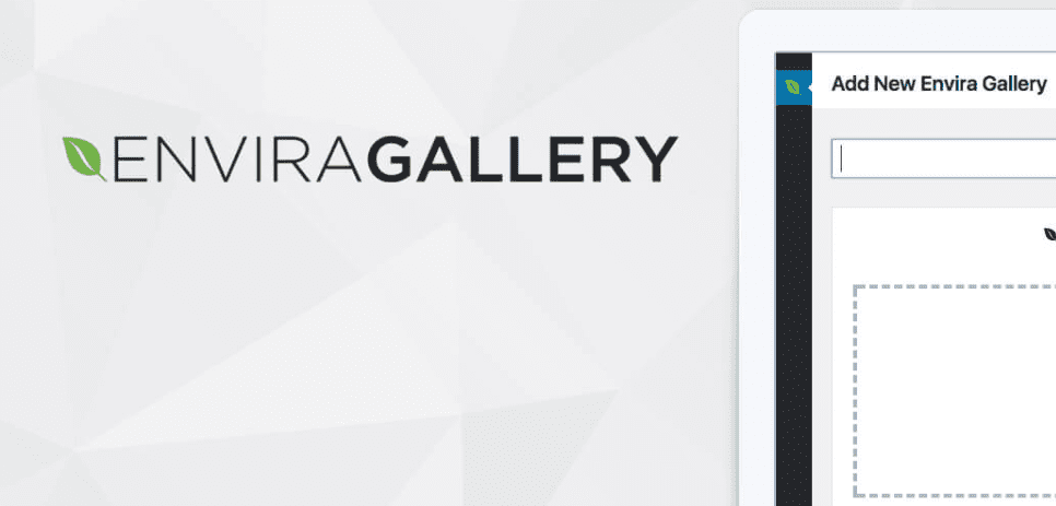 Envira Gallery Pro – Gallery Themes Addon
