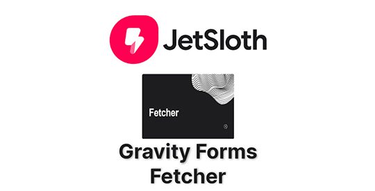 Gravity Forms Fetcher