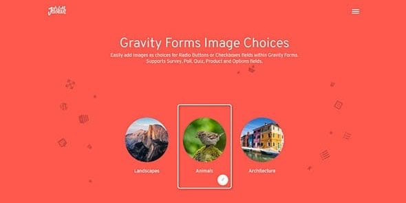 Jetsloth – Gravity Forms Image Choices