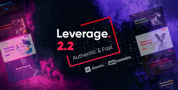 Leverage Agency And Portfolio Theme