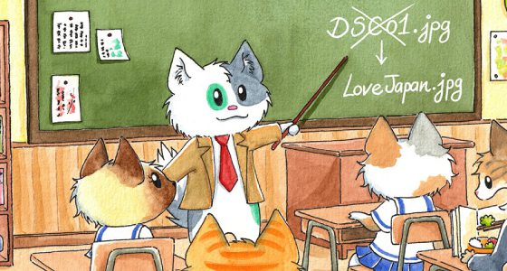 Media File Renamer Pro