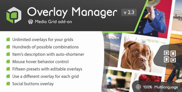 Media Grid Overlay Manager