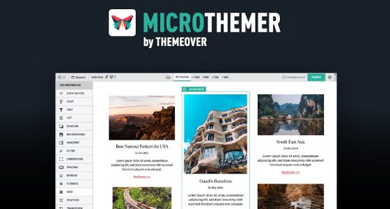 MicroThemer WordPress CSS Editor