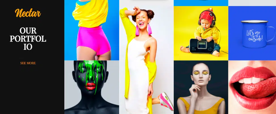 Nectar WordPress Theme