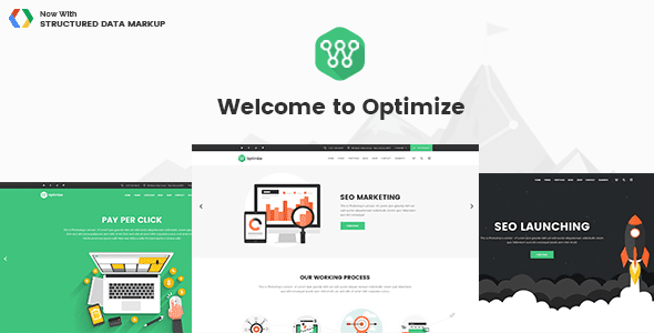 Optimize – SEO, Digital Marketing, Social Media Theme