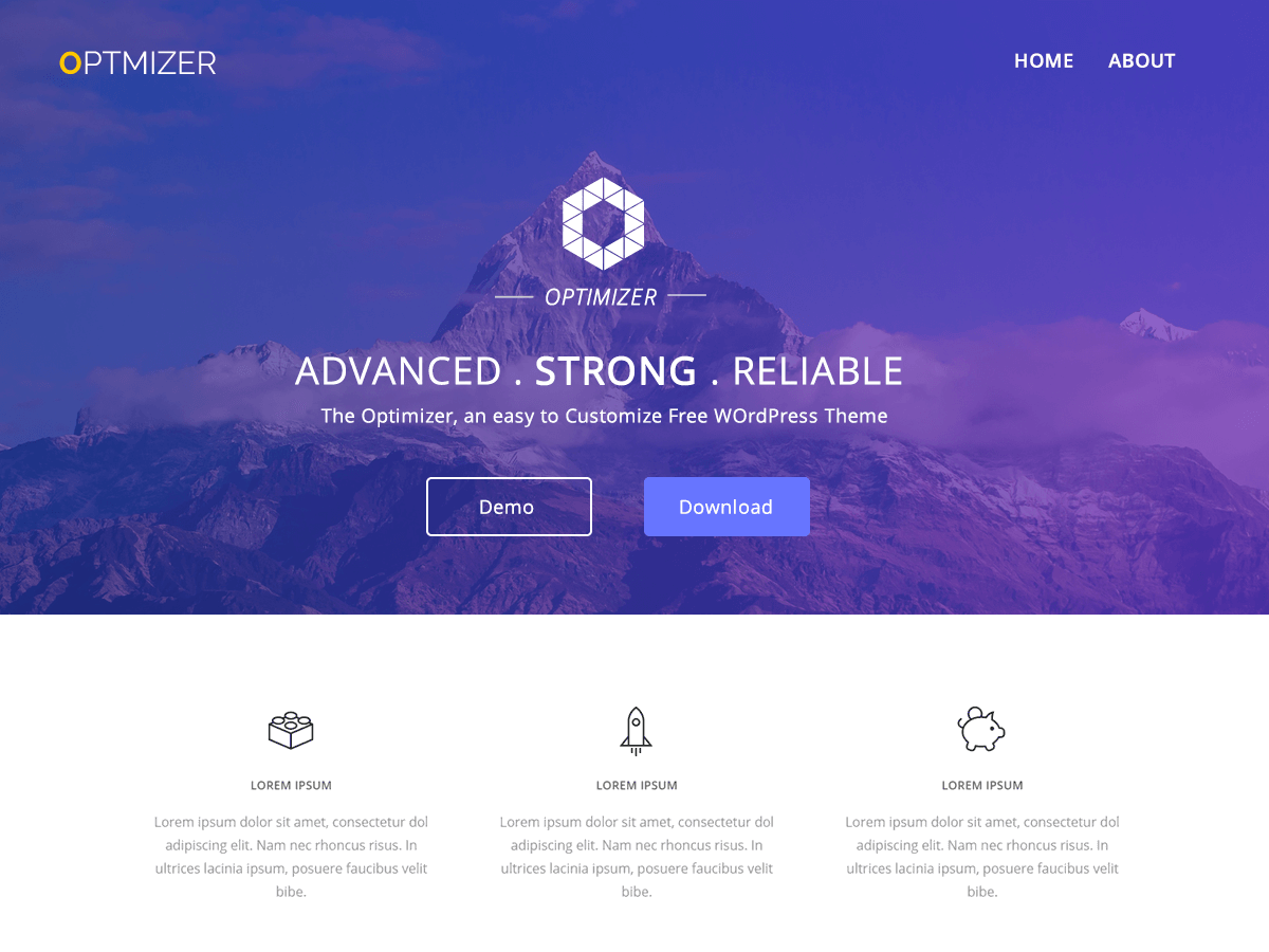 Optimizer PRO WordPress Theme