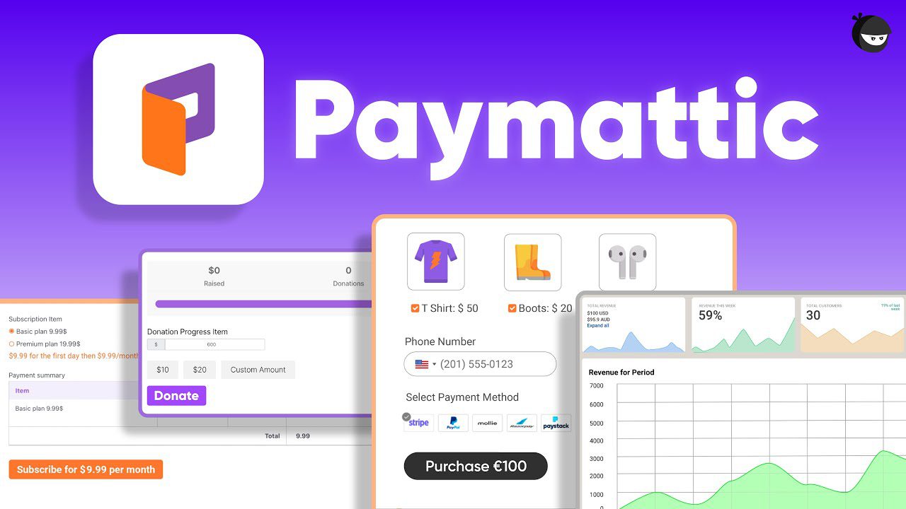 Paymattic Pro