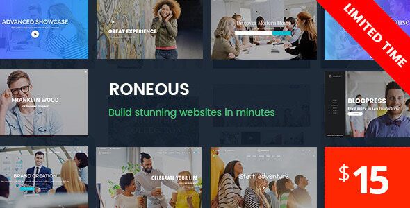 Roneous – Creative Multi-Purpose WordPress Theme