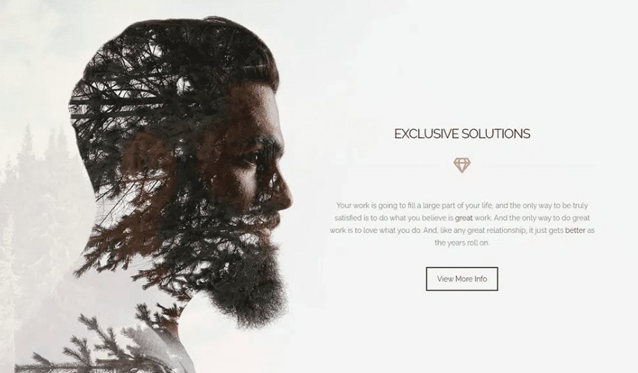 Spark WordPress Theme