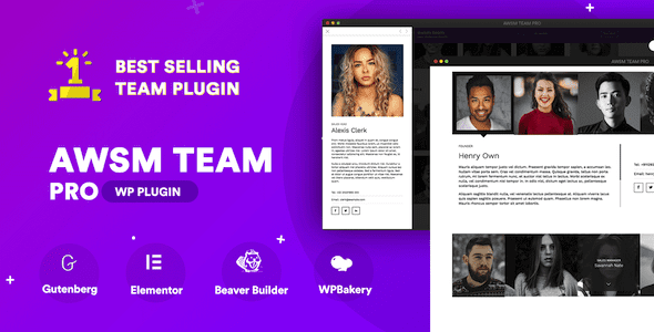 The Team Pro Team Showcase WordPress Plugin