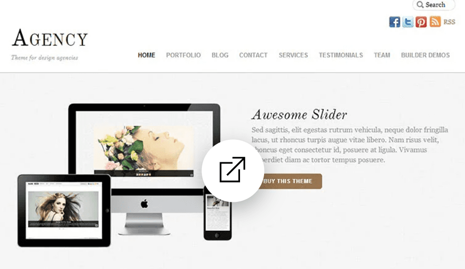 Themify Agency WordPress Theme