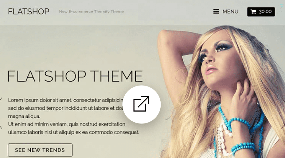 Themify Flatshop WooCommerce Theme