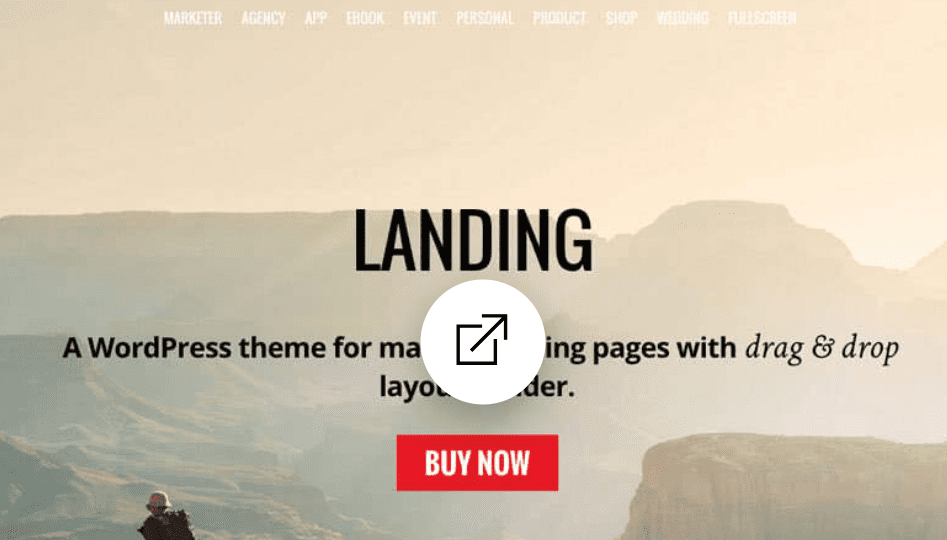Themify Landing WordPress Theme
