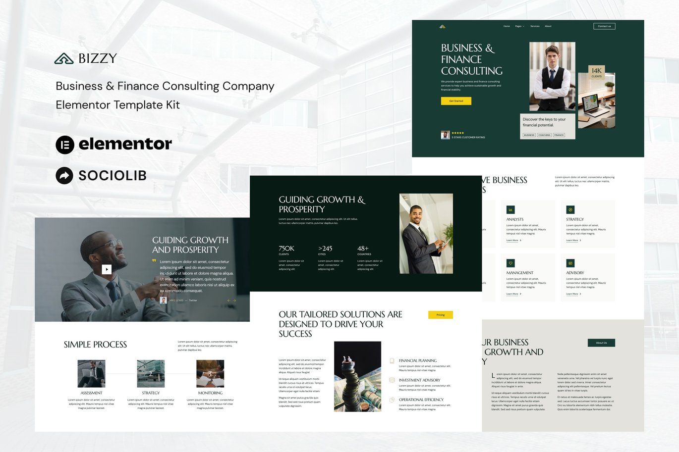 Bizzy – Business and Finance Consulting Company Elementor Template Kit