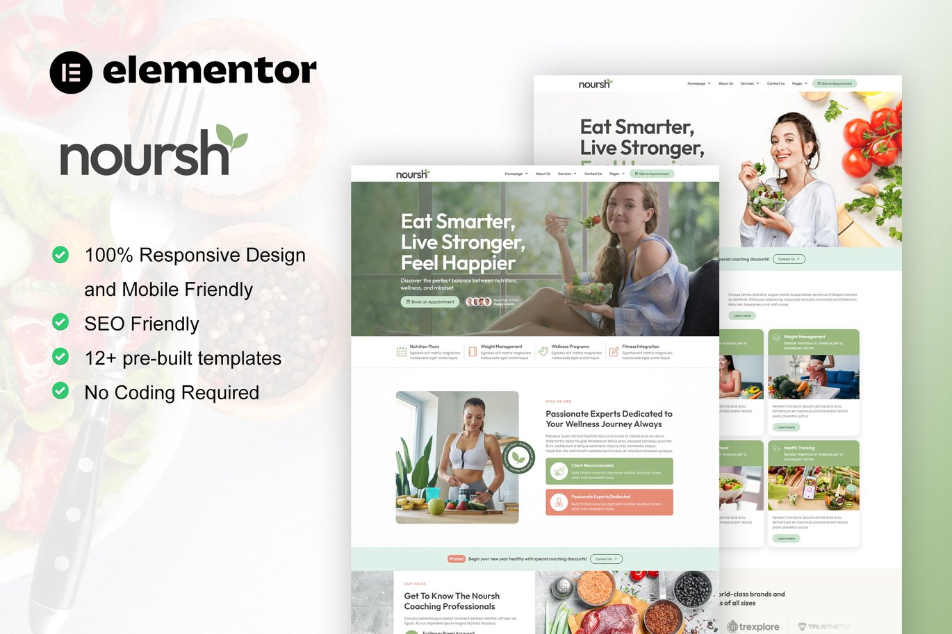 Noursh – Healthy Food and Nutrition Elementor Pro Template Kit