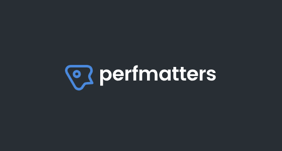 Perfmatters WordPress Plugin