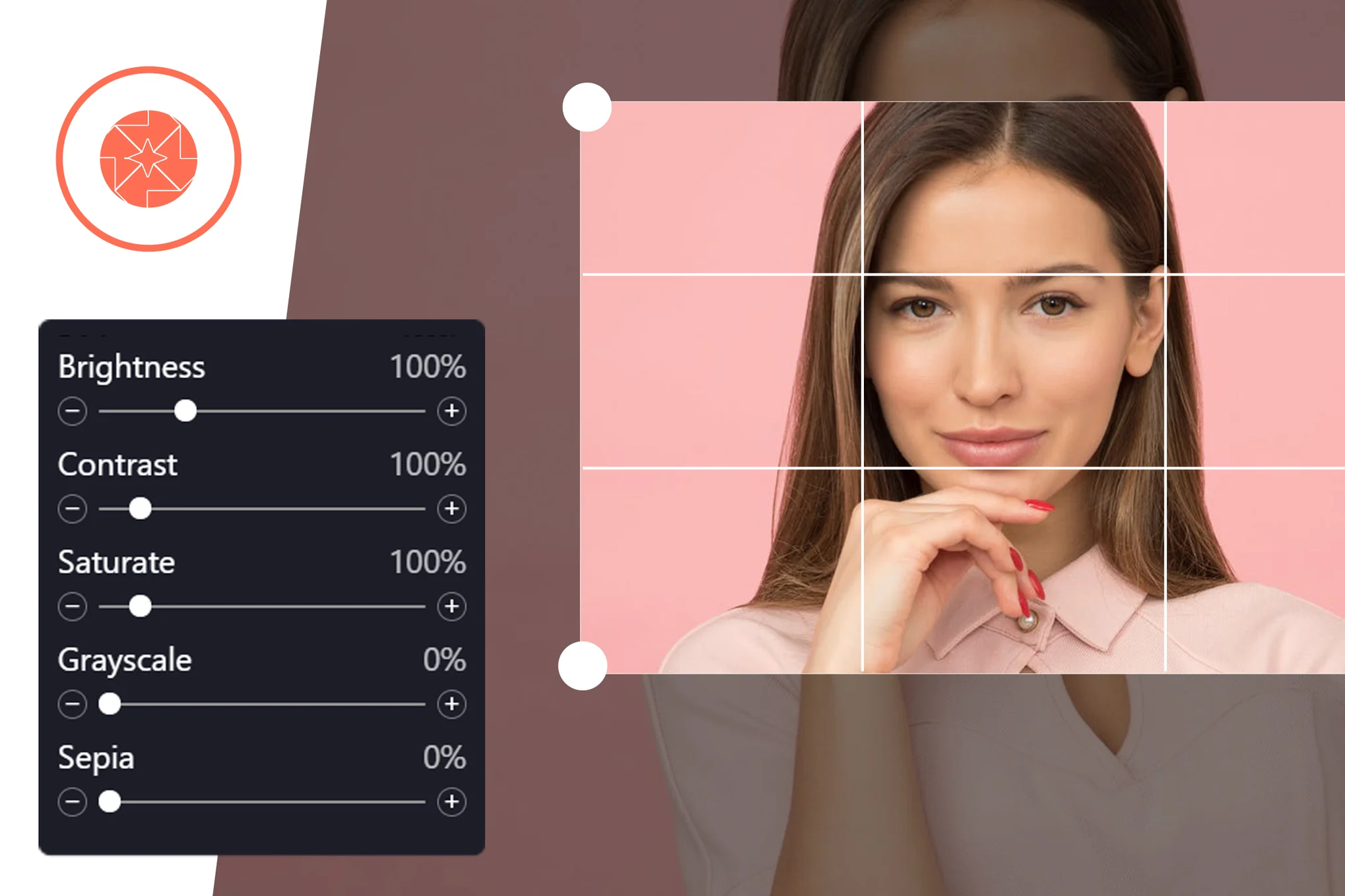 ProVision Image Editor for WordPress / WooCommerce