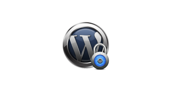 WP Content Copy Protection and No Right Click