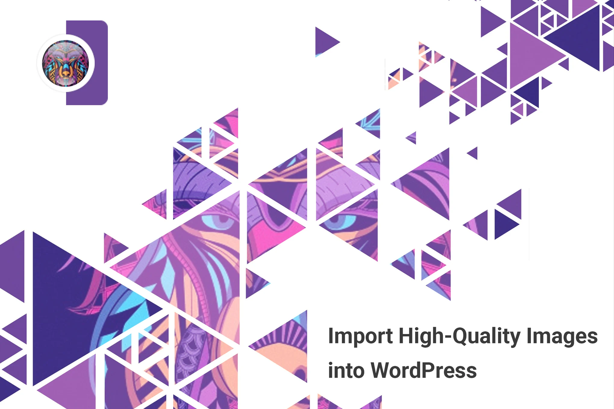 Wallhaven – Import High-Quality Images into WP