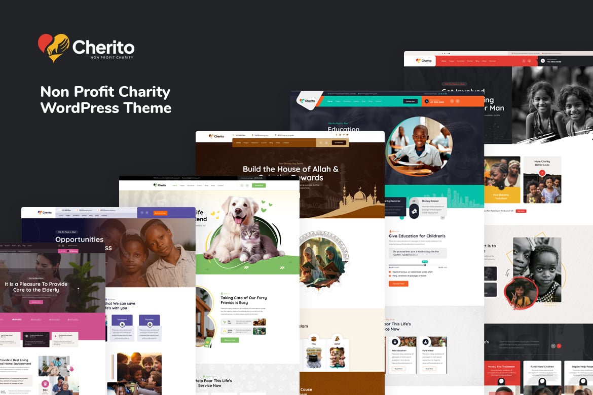 Cherito – Non Profit Charity WordPress Theme