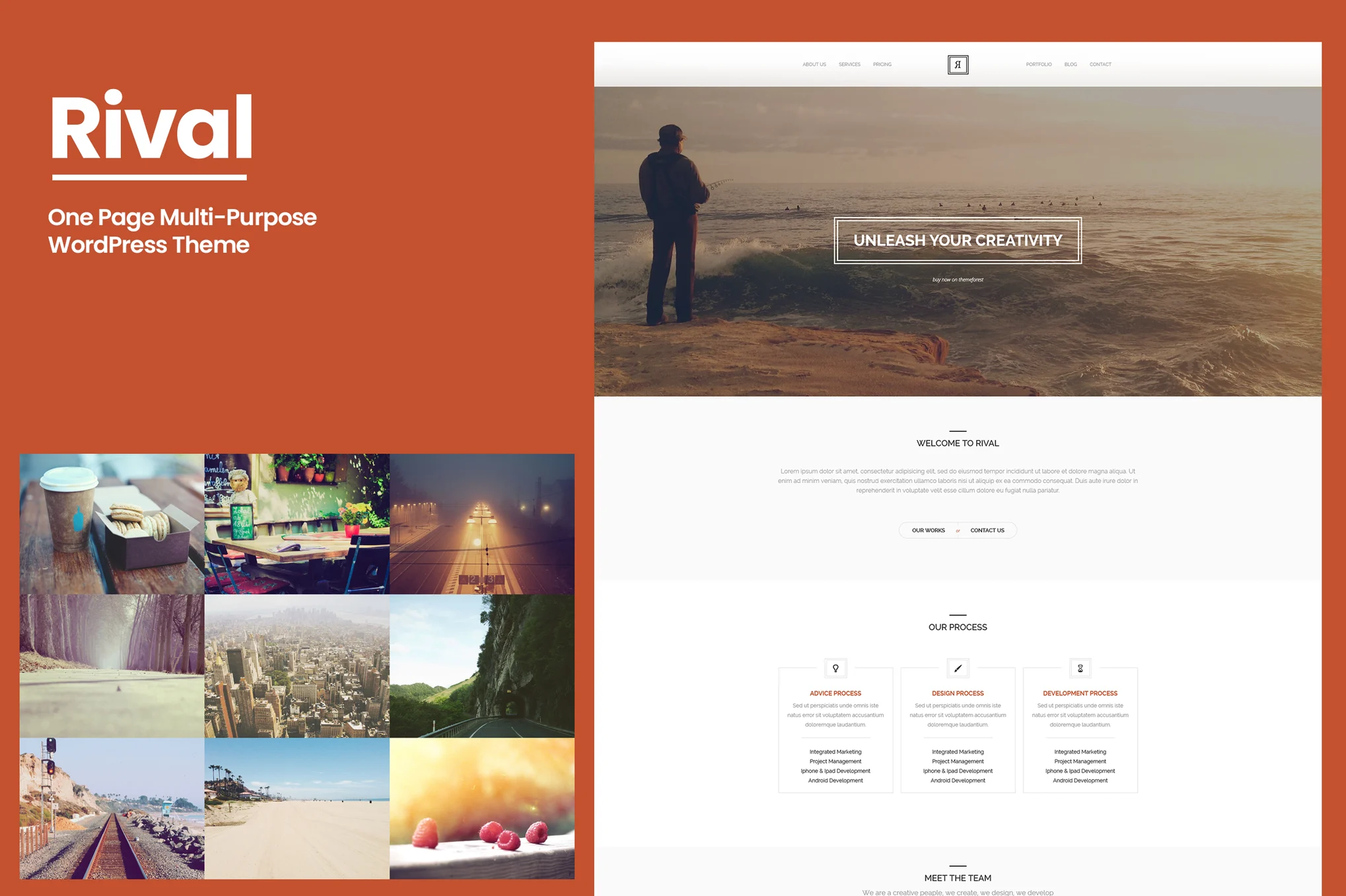 Rival – One Page Multi-Purpose WordPress Theme